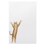 Party Animal Cat Stationery