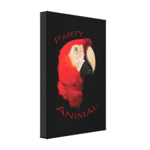Party Animal Gallery Wrapped Canvas