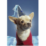Party Dog Photo Sculpture
