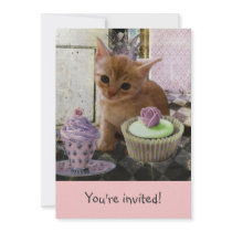 Party For One Kitten invitations