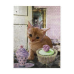 Party For One Kitten postcard