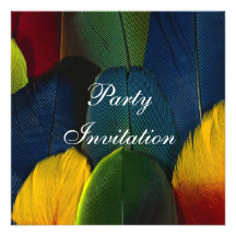 Party Invitation All Occasions Feathers