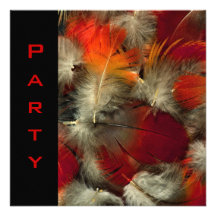 Party Invitation All Occasions Feathers Black Red