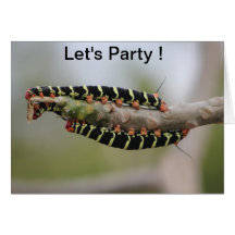 Party Invitation Greeting Card