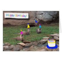 party otters birthday card