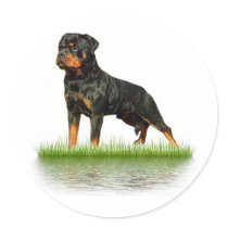 Pasha Earl Antonius Stickers