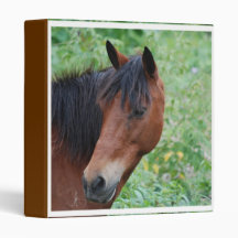 Paso Fino Binder
