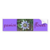 passion flower bumper sticker