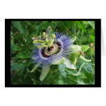 Passion Flower Greeting Card