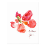 Passion Flower postcards