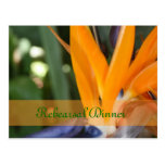 Passion in Paradise Rehearsal Dinner postcards