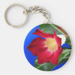 Passion tropicale porte-clefs