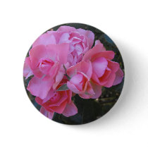passionate Kisses rose Pins