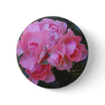 passionate Kisses rose buttons