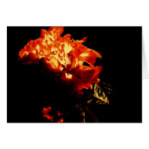 Passionate Petals Greeting Cards