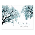Pastel Blue Trees - Save the Date Postcard postcards