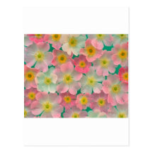 Pastel Colour Flowers Post Cards