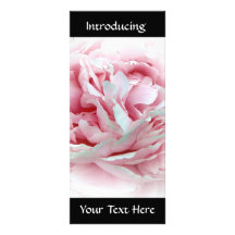 Pastel Flower Rack Cards