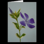 pastel cards