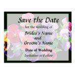 Pastel Pansies Save the Date Post Card