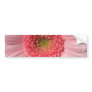Pastel Pink Daisy  Bumper Stickers