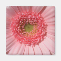 Pastel Pink Daisy  Magnet