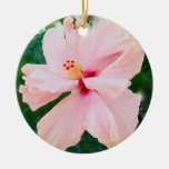 Pastel Pink Hibiscus Christmas Tree Ornaments