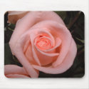 Pastel Pink Rose Mousepad