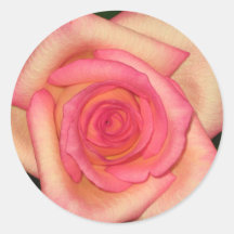 Pastel Pink Rose Round Stickers
