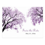 Pastel Purple Trees - Save the Date Postcard postcards