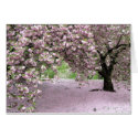 Pastel Serenity cards