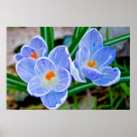 Pastel shades of blue posters