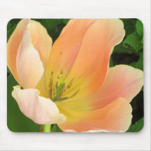 Pastel Tulip Mousepad
