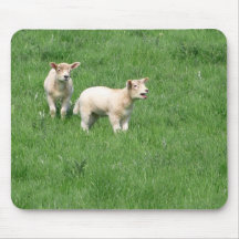 Pastoral Lambs Mouse Pad