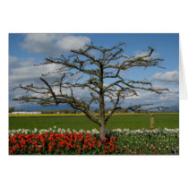 Pastoral Scene Card