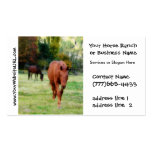 Pasture Horses Rural Scene Photo Business Card Template