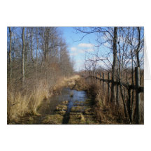 "Pasture Lane in February" Greeting Cards