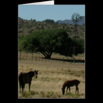 Pasture Perfect cards