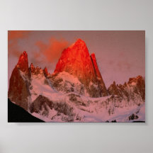 Patagonia, Agrentia Print