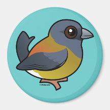 Patagonian Sierra-Finch Fridge Magnet
