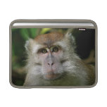 Patas Monkey 13" MacBook Sleeve