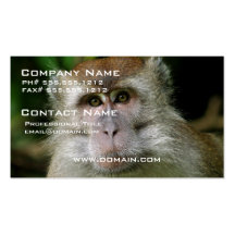 Patas Monkey Business Cards