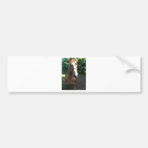 Patch the Horse Collection Bumper Stickers