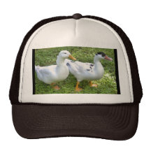 Patched & Elvis hat