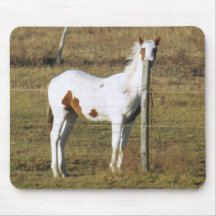 Patches Peeking by Leslie Peppers Mousepad