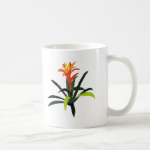 Patchwork Bromeliad tropical Tasses
