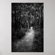 Path 2 print