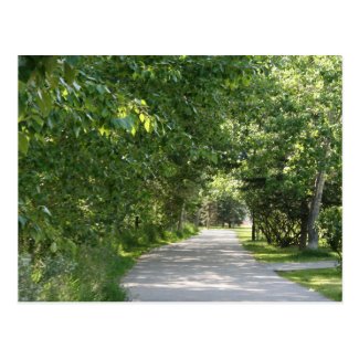 Path among trees postcard