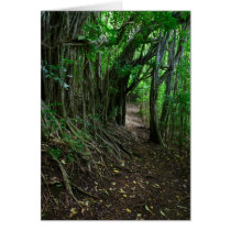 Path amongst fig tree roots. cards