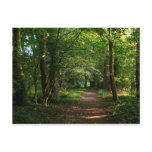 Path in the Woods Postcards